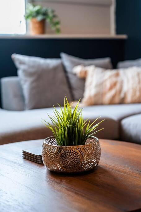 Contractor Flat Apartment *