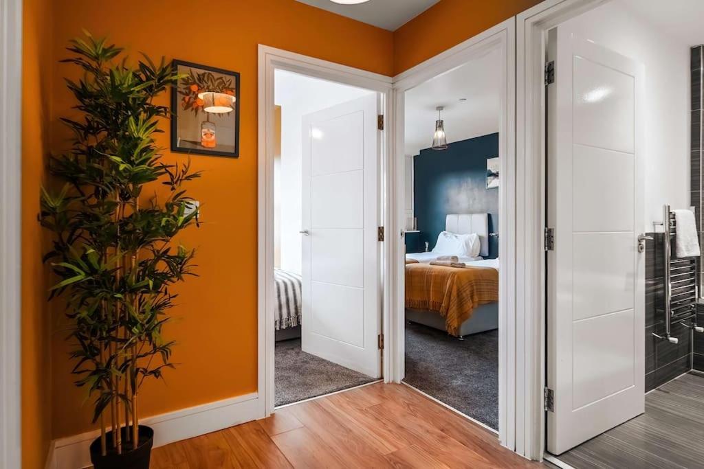 Contractor Flat Apartment